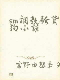 sm调教骚货母狗小说封面
