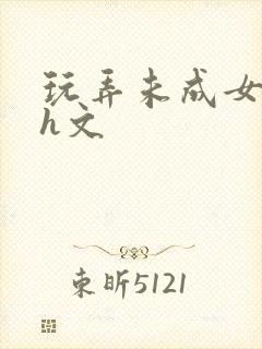 玩弄未成女小说h文封面