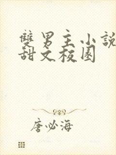 双男主小说推荐甜文校园