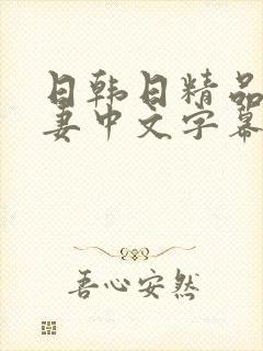 日韩日精品a人妻中文字幕有码