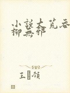 小说大荒吞天诀柳无邪