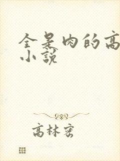 全是肉的高h文小说