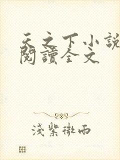 天之下小说在线阅读全文