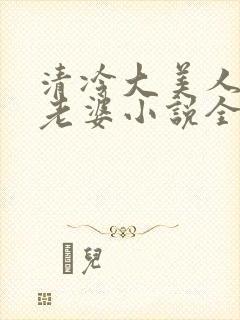 清冷大美人是我老婆小说全文阅读封面