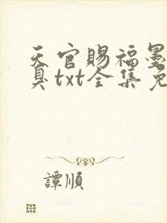 天官赐福墨香铜臭txt全集免费下载完整版