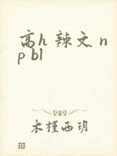 高h 辣文 np bl