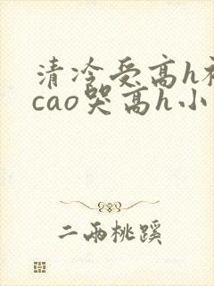 清冷受高h被强cao哭高h小说