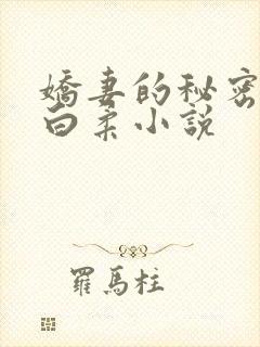 娇妻的秘密王平白柔小说封面