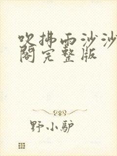 吹拂雨沙沙笔趣阁完整版