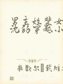 男主姓裴女主姓沈的穿越小说封面