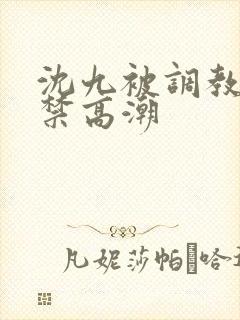 沈九被调教到失禁高潮