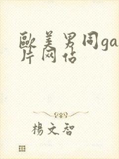 欧美男同gay片网站