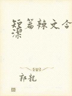 短篇辣文合集白洁