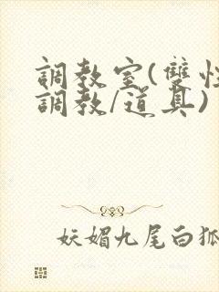 调教室(双性/调教/道具)封面