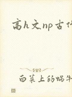高h文np古代