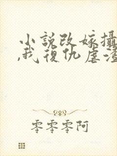 小说改嫁摄政王,我复仇虐渣妹萧怀在线阅