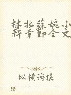 林北苏婉小说最新章节全文