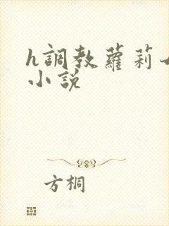 h调教萝莉母狗小说