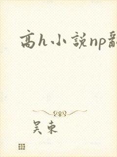 高h小说np乱