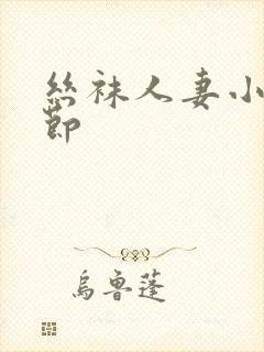 丝袜人妻小说章节