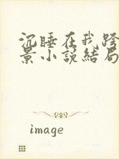 沉睡在我跨下的景小说结局