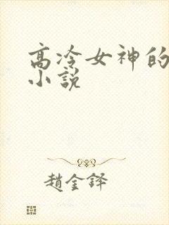 高冷女神的沦陷小说