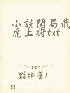 小说开局截胡五虎上将txt