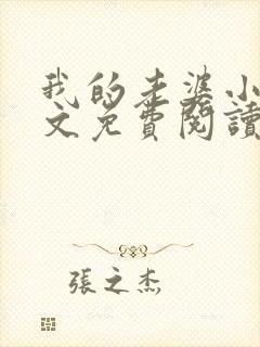 我的老婆小静全文免费阅读最新章节