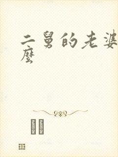 二舅的老婆叫什么封面