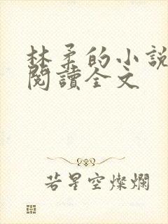 林柔的小说在线阅读全文