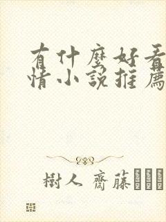 有什么好看的言情小说推荐封面