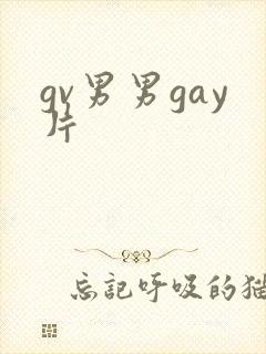 gv男男gay片