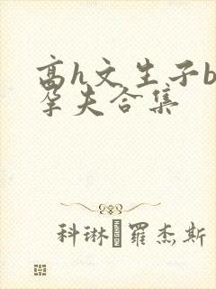 高h文生子bl孕夫合集