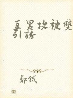 直男攻被双性受引诱封面