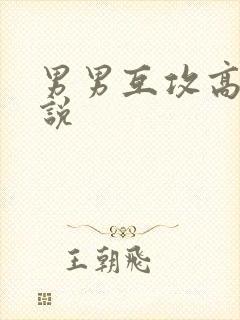 男男互攻高h小说