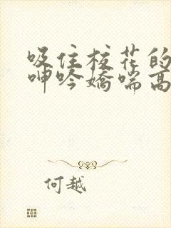 吸住校花的奶头呻吟娇喘高潮小说