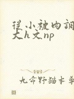 从小被肉调教到大h文np