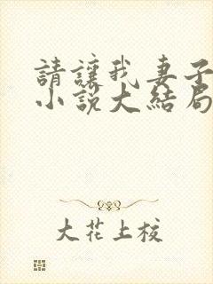 请让我妻子堕落小说大结局