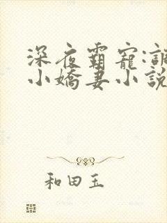 深夜霸宠:调教小娇妻小说封面