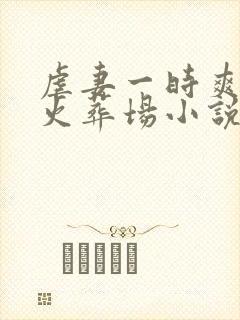 虐妻一时爽追妻火葬场小说封面