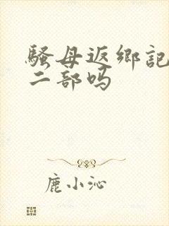 骚母返乡记有第二部吗