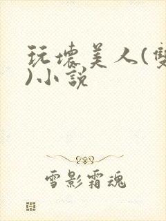 玩坏美人(双性)小说封面