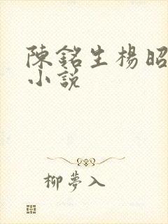 陈铭生杨昭原著小说