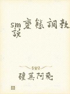 sm变态调教小说