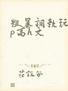 粗暴调教玩弄np高h文