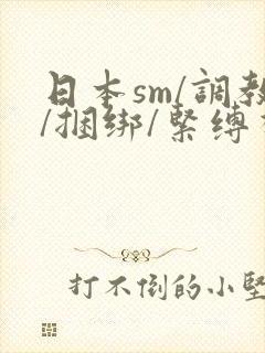 日本sm/调教/捆绑/紧缚视频封面