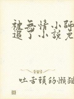 被无情小师弟倒追了小说免费阅读封面