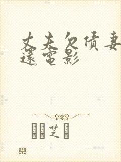 丈夫欠债妻子偿还电影封面