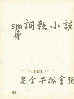 sm调教小说虐身封面