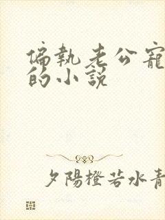 偏执老公宠上天的小说